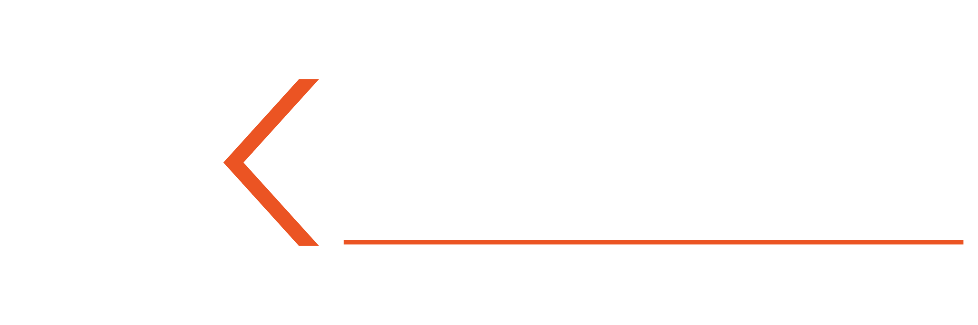 BYTE Software